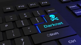 Cofondatorul „Hydra” - platformă ilegală de pe dark net, a fost arestat în Rusia